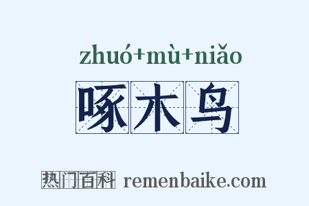 啄木鸟是什么意思的图片
